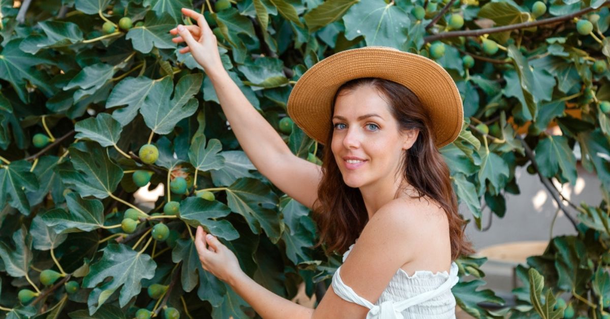 4 façons d'utiliser les feuilles de figuier pour profiter de leurs bienfaits