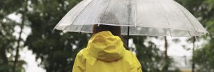 'Produits chimiques éternels' : l'eau de pluie impropre à la consommation