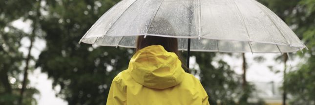 petrichor odeur de pluie