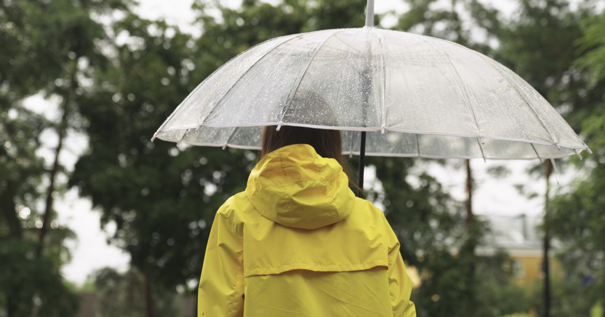 'Produits chimiques éternels' : l'eau de pluie impropre à la consommation
