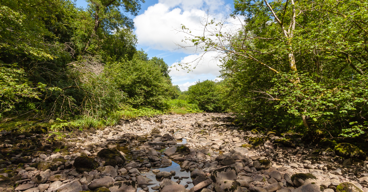 Sécheresse : toute la France métropolitaine concernée - vers des restrictions dans les foyers ?