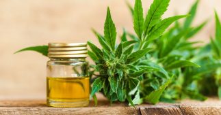 Bienfaits et utilisation : découvrez tous les secrets du CBD Bienfaits et utilisation : découvrez tous les secrets du CBD