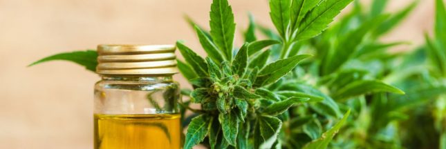 Les bienfaits du CBD