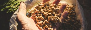 Pénurie de pellets : faire ses granulés de bois, est-ce aussi simple et économique ?
