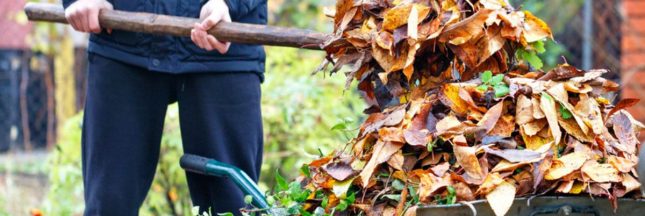 Pourquoi ne pas se débarrasser des feuilles mortes au jardin ?