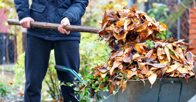 Pourquoi ne pas se débarrasser des feuilles mortes au jardin ?