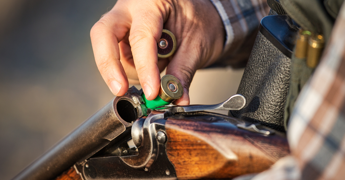 Interdiction des munitions au plomb : les chasseurs veulent une aide publique pour changer de fusil Interdiction des munitions au plomb : les chasseurs veulent une aide publique pour changer de fusil