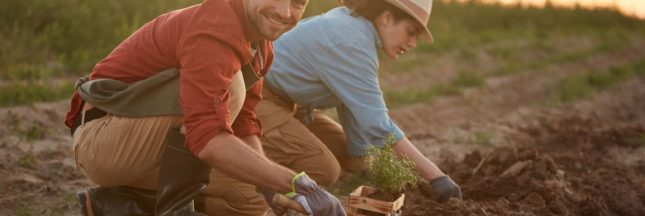 Les légumes à planter en octobre