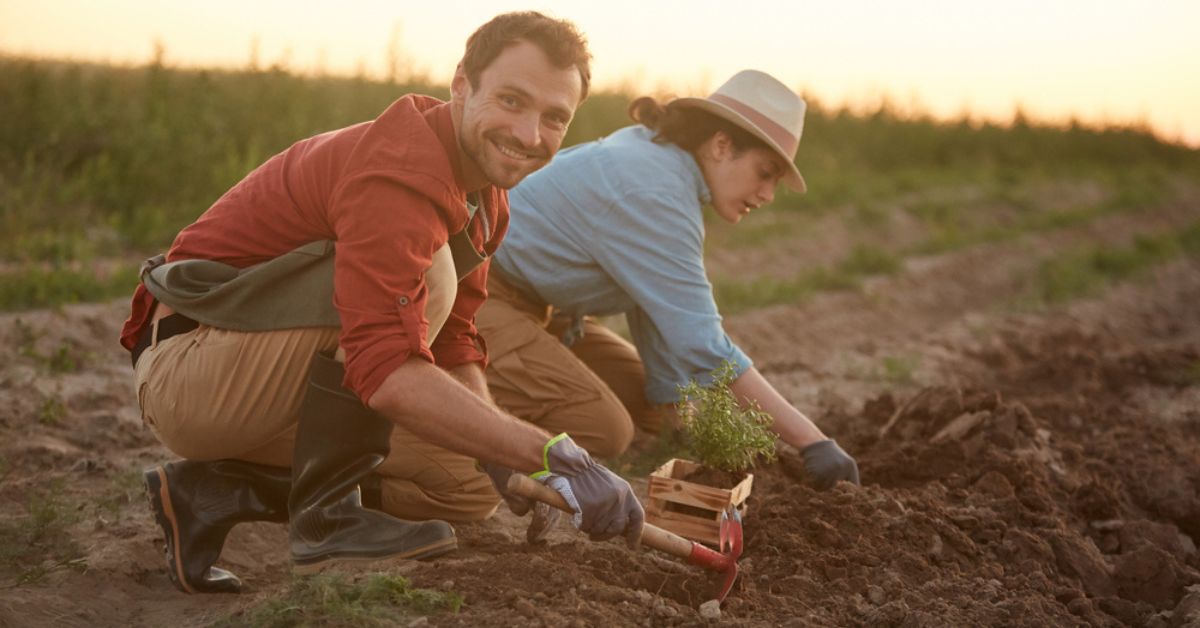 En octobre, n’oubliez pas de planter ces stars du potager d’automne !