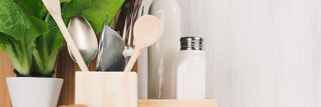 Le poivre noir, contre les insectes et nuisibles au jardin et potager