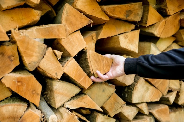 Bois de chauffage 4 astuces pratiques pour savoir si le bois est bien sec — free download