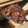 Compost : ces feuilles à ne surtout pas mettre et pourquoi Compost : ces feuilles à ne surtout pas mettre et pourquoi