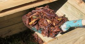 Compost : ces feuilles à ne surtout pas mettre et pourquoi Compost : ces feuilles à ne surtout pas mettre et pourquoi