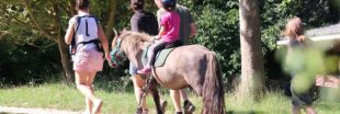 Maltraitance animale : doit-on interdire les balades à poney, comme le souhaite une association ?