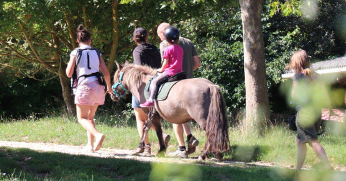 Maltraitance animale : doit-on interdire les balades à poney, comme le souhaite une association ? Maltraitance animale : doit-on interdire les balades à poney, comme le souhaite une association ?