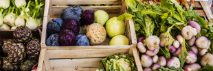 Chaleur automnale : les consommateurs boudent les fruits et les légumes de saison
