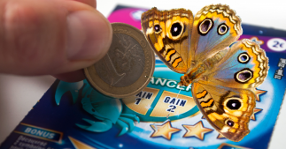 Un 'loto' pour que les Français payent la protection de la biodiversité ? Un 'loto' pour que les Français payent la protection de la biodiversité ?