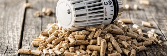 Où trouver des pellets de bois pas chers ?