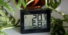 10 plantes pour se débarrasser de l’humidité dans la maison