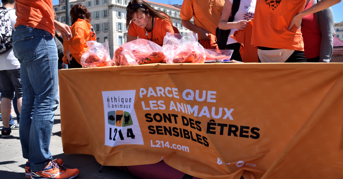 Un amendement vise à asphyxier financièrement les associations de défense des animaux et de l'environnement