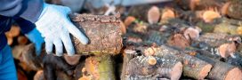 Stocker son bois de chauffage : ces erreurs courantes qui nuisent à son pouvoir calorifique Stocker son bois de chauffage : ces erreurs courantes qui nuisent à son pouvoir calorifique
