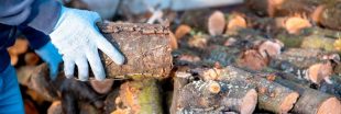 Stocker son bois de chauffage : ces erreurs courantes qui nuisent à son pouvoir calorifique Stocker son bois de chauffage : ces erreurs courantes qui nuisent à son pouvoir calorifique
