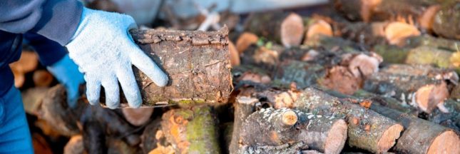 Rénovation énergétique : MaPrimeRénov’ suspendue jusqu’à fin 2025 ?