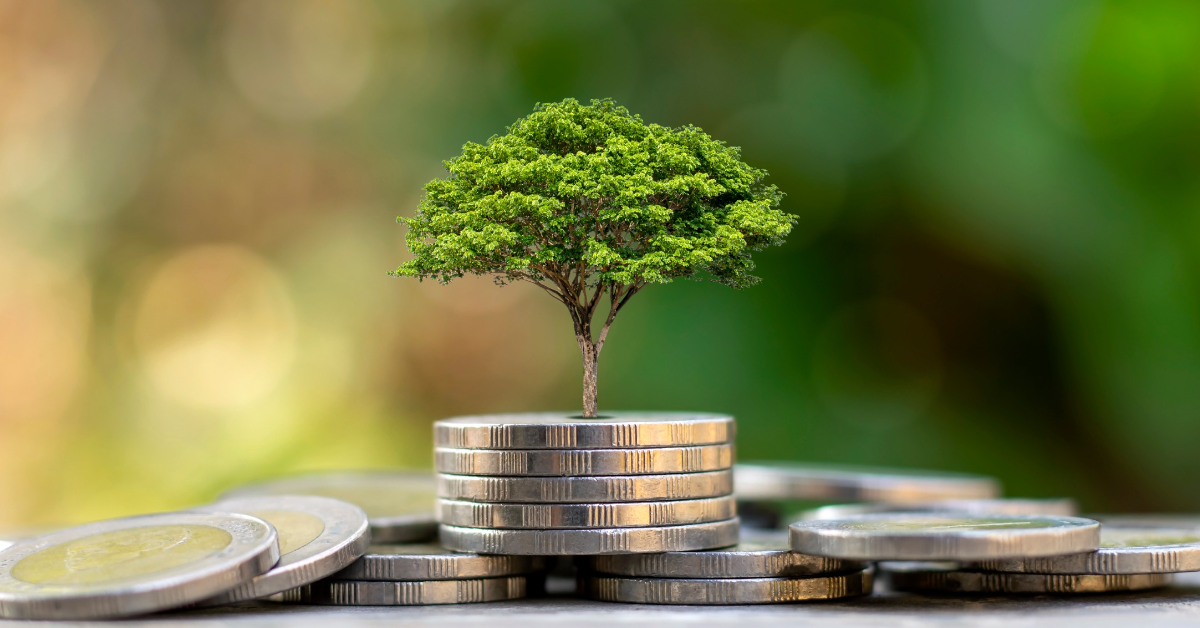 Vers une TVA 'verte', réduite, pour les produits éco-responsables ? Vers une TVA 'verte', réduite, pour les produits éco-responsables ?