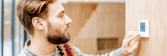 thermostat programmable