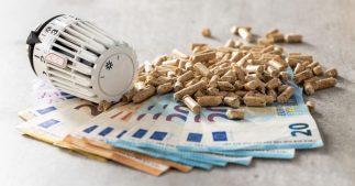 Chauffage au bois : enfin une aide pour les particuliers se chauffant aux pellets ou aux bûches Chauffage au bois : enfin une aide pour les particuliers se chauffant aux pellets ou aux bûches