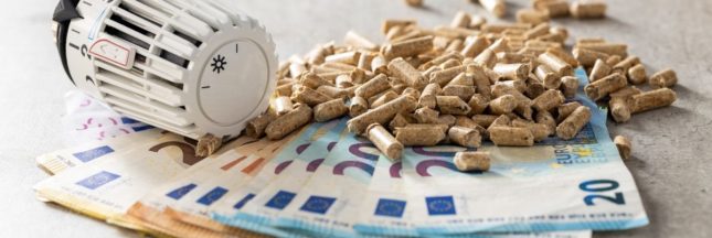 Une aide adoptée par l'assemblée pour les foyers se chauffant au bois : chauffage granulés, pellets, bûches