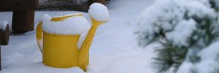 L'arrosage en hiver : 6 règles essentielles et autres conseils pour arroser ses plantes quand il fait froid