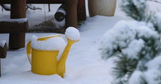 L'arrosage en hiver : 6 règles essentielles et autres conseils pour arroser ses plantes quand il fait froid L'arrosage en hiver : 6 règles essentielles et autres conseils pour arroser ses plantes quand il fait froid