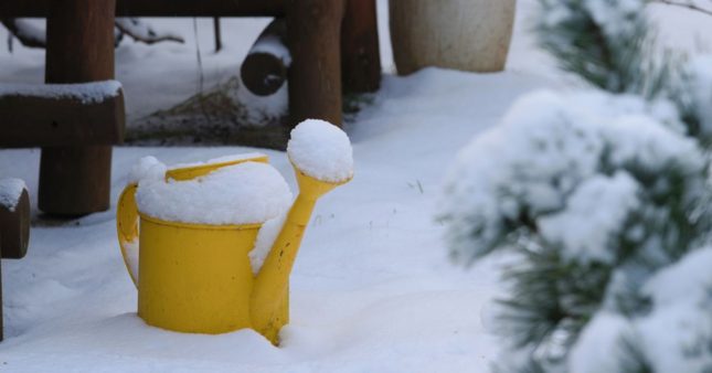 L’arrosage en hiver : 6 règles essentielles et autres conseils pour arroser ses plantes quand il fait froid