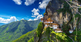 Ces pays absorbent plus de CO2 qu'ils n'en produisent Ces pays absorbent plus de CO2 qu'ils n'en produisent