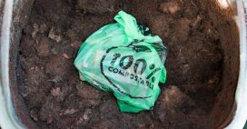 Compost : certains déchets « biodégradables » ne doivent surtout pas être jetés, alerte l’ANSES