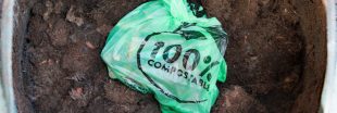 Compost : certains déchets 