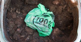 Compost : certains déchets 'biodégradables' ne doivent surtout pas être jetés, alerte l'ANSES Compost : certains déchets 'biodégradables' ne doivent surtout pas être jetés, alerte l'ANSES
