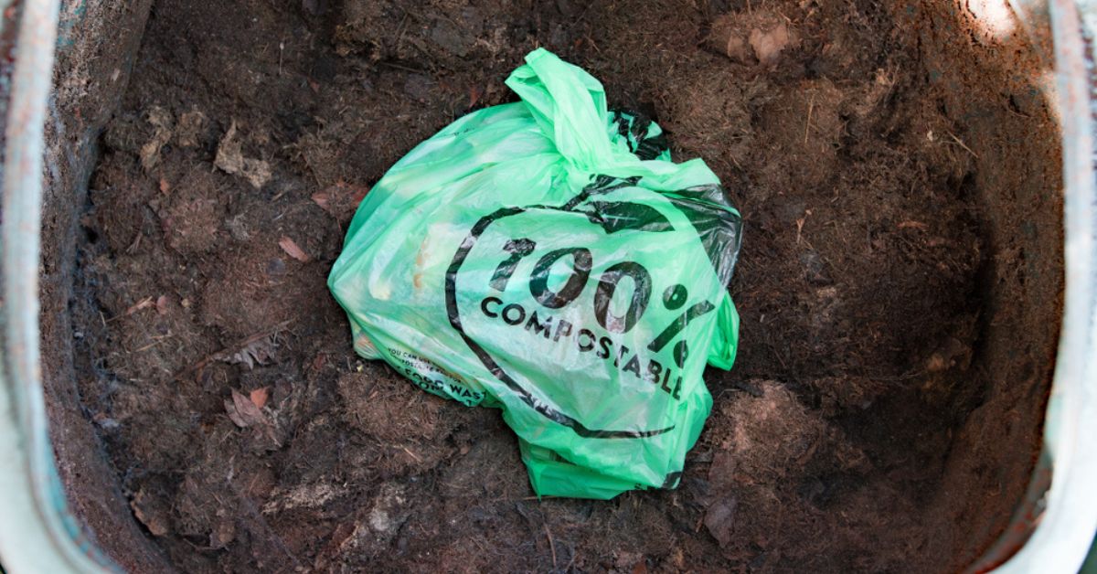 Compost : les sacs en plastiques biodégradables ne doivent pas être  jetés, alerte l'ANSES
