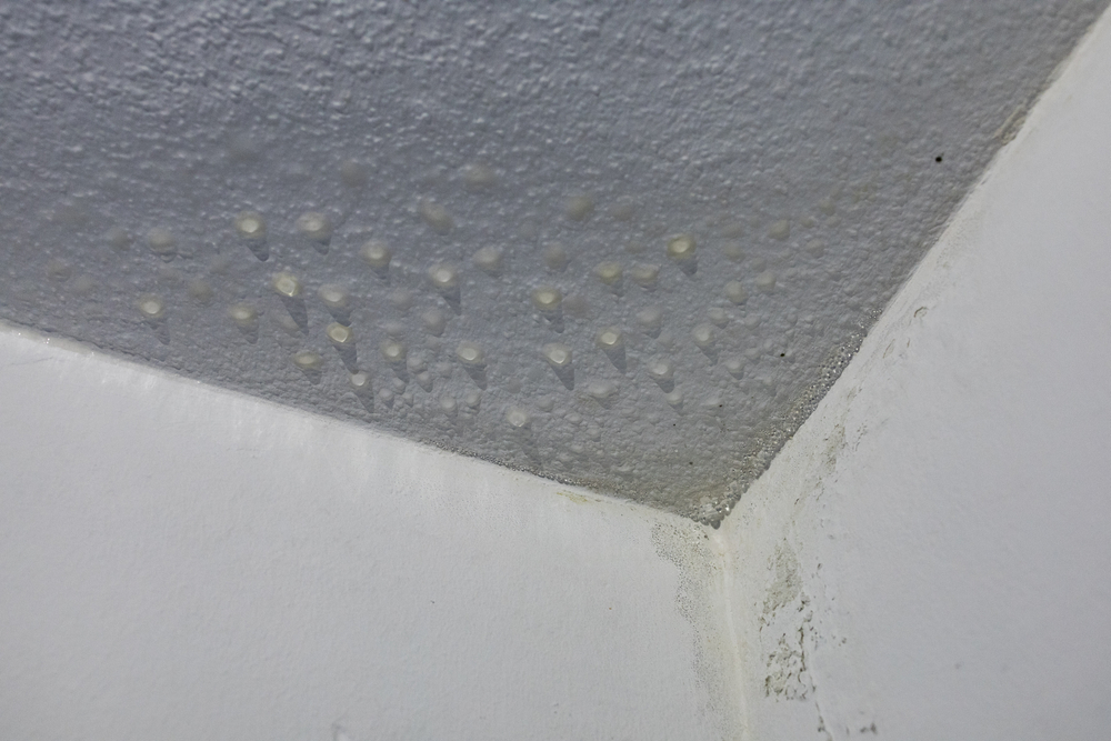Supprimer la condensation sur les murs
