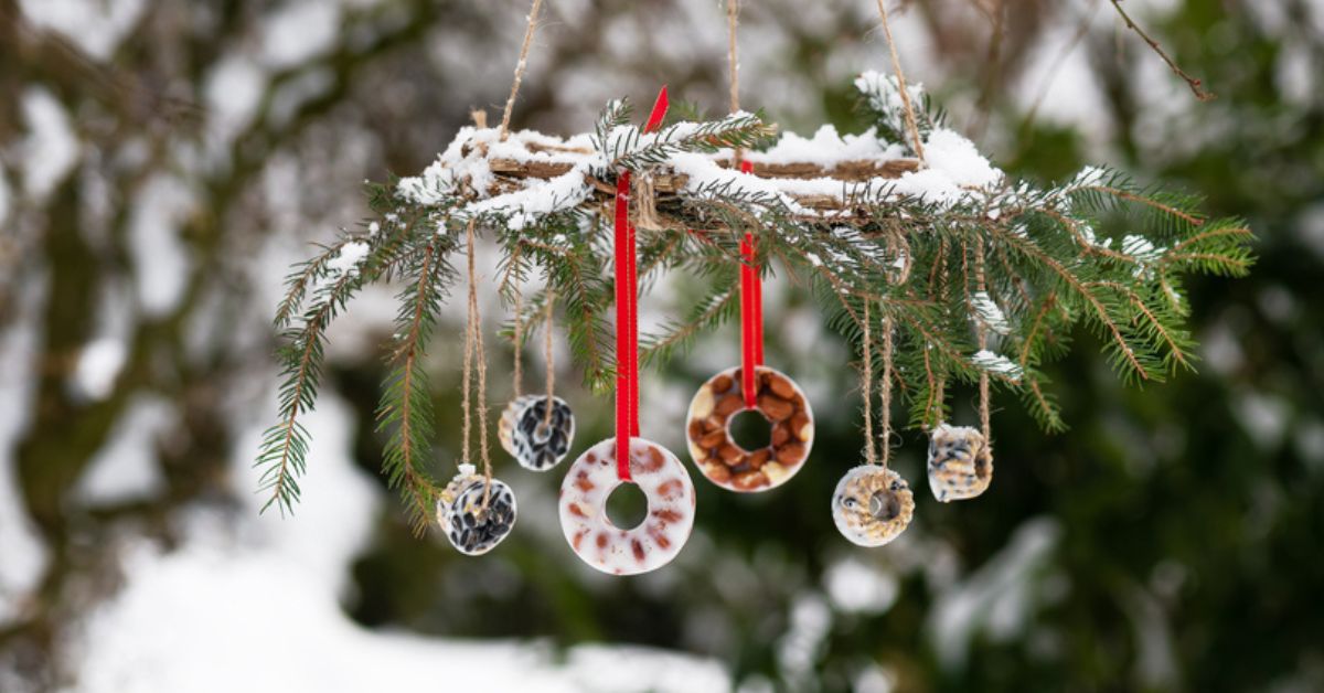 Nourrir les oiseaux en hiver avec 3 recettes maison faciles à réaliser