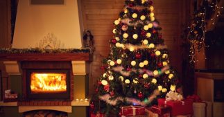 Économies d'énergie : combien coûte l'illumination d'un sapin de Noël ?