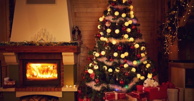 Économies d’énergie : combien coûte l’illumination d’un sapin de Noël ?