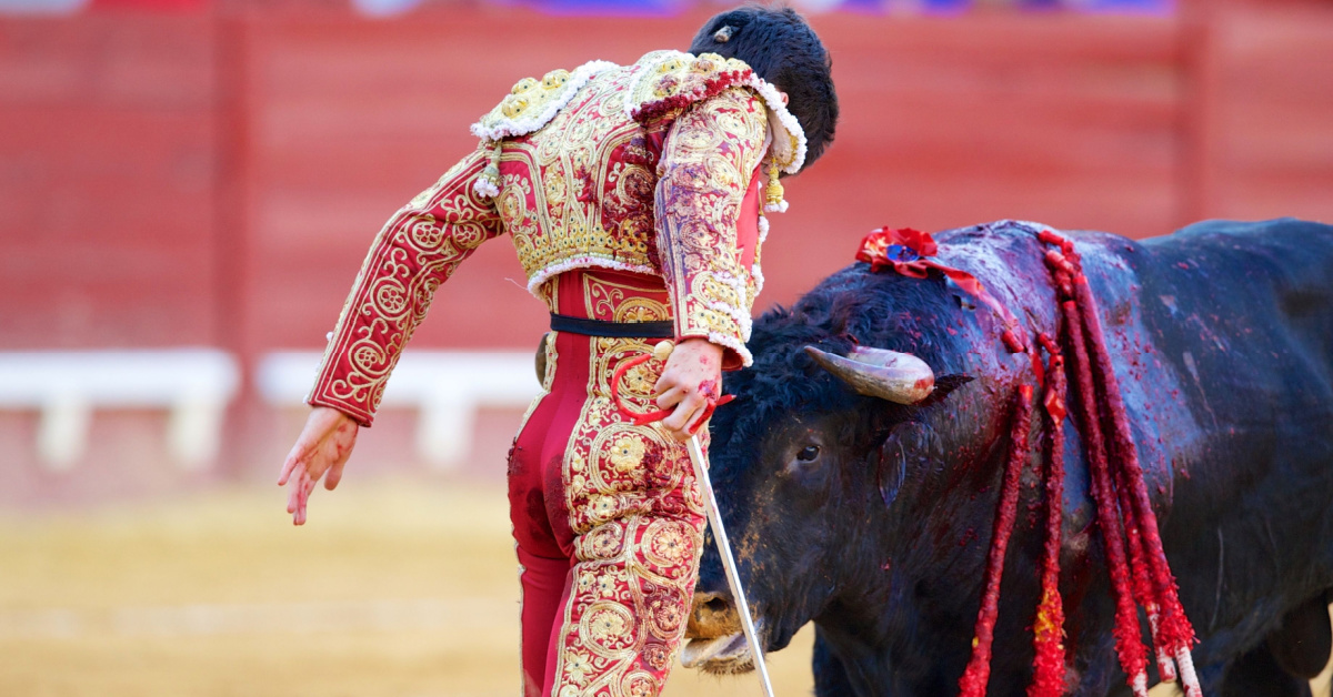 Corrida : pourtant souhaitée par 8 Français 10, l'abolition rejetée par les députés