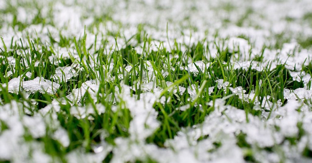 Préparer sa pelouse pour l’hiver : dernière tonte, engrais et autres conseils pour un beau gazon