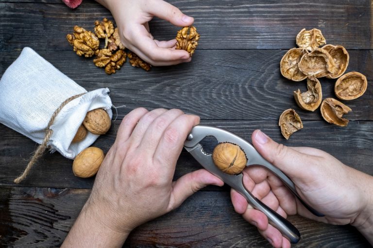Recycler les coquilles de noix et noisettes : 7 idées pratiques