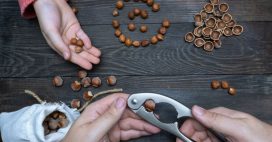 Recycler les coquilles de noix et noisettes : 7 idées pratiques pour le jardin et la maison