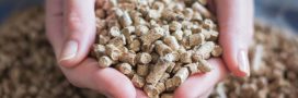 Granulés de bois : diminuer sa consommation de pellets avec 4 conseils judicieux