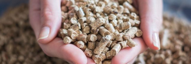 Comment réduire sa consommation de pellets ?