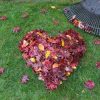 Préparer sa pelouse pour l'hiver : 5 astuces pour rénover son gazon en automne